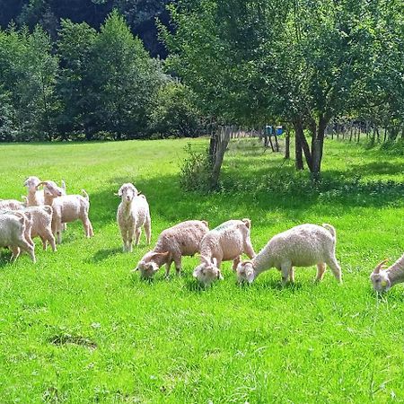 Au Mohair Des Alpy Fougax-et-Barrineuf Eksteriør bilde